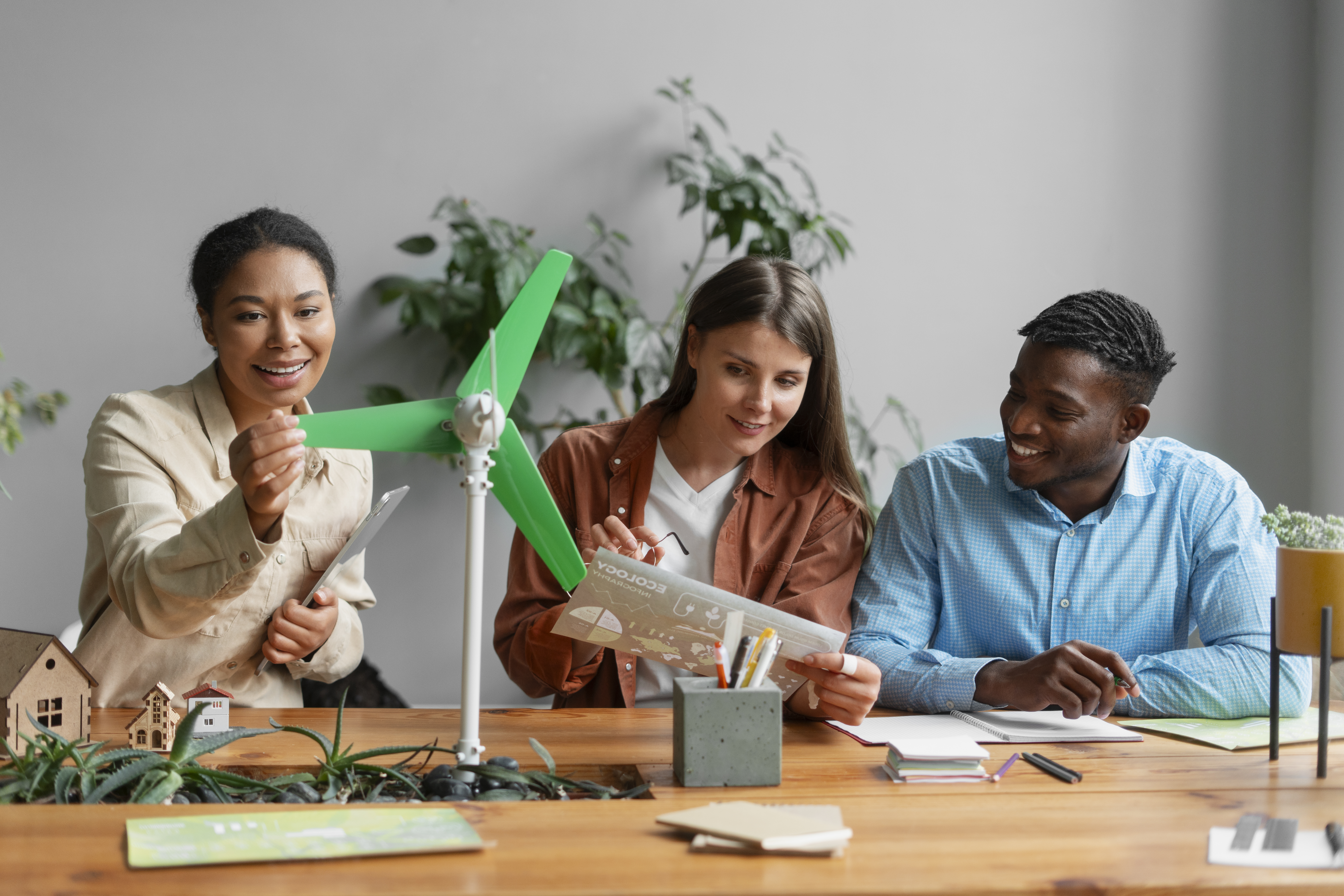 Terronova analytics dashboard